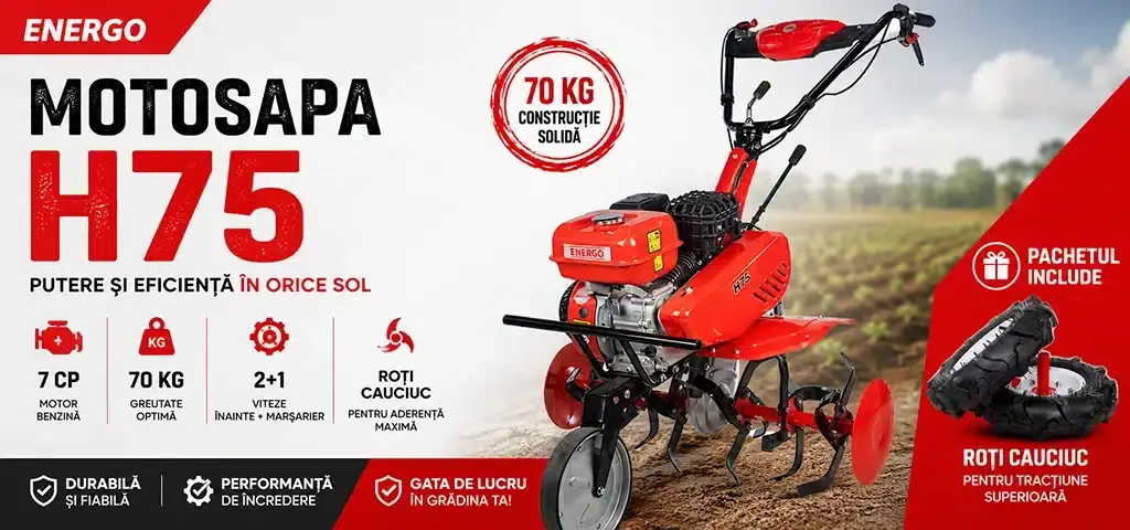 Motosapa H75 Energo Motosapa H75 Energo