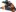 Pulverizator – HECHT